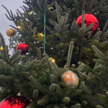 Arheilger Weihnachtsmarkt '25